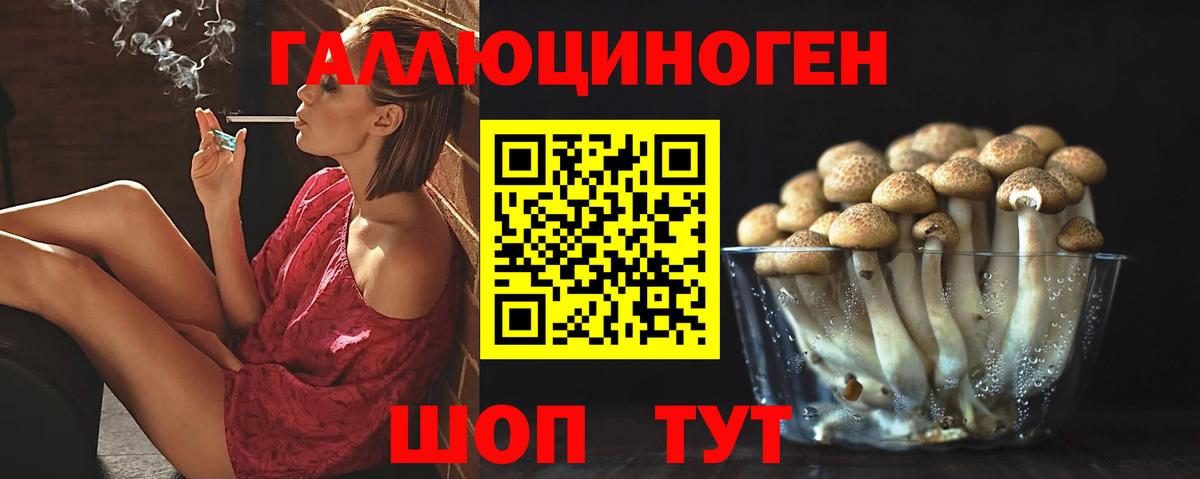 Курчатов  Галлюциногенные грибы мухоморы  Вход с VPN 