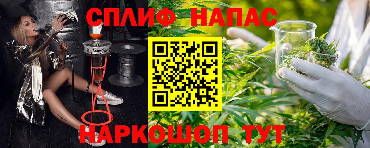 Конопля гибрид Курчатов